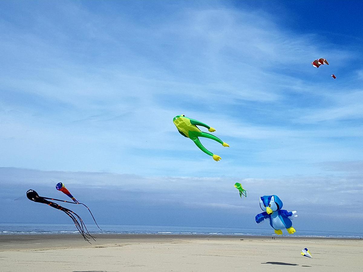 Les Coquillages, 2 Salles De Bains, Tout A Pied Berck ภายนอก รูปภาพ