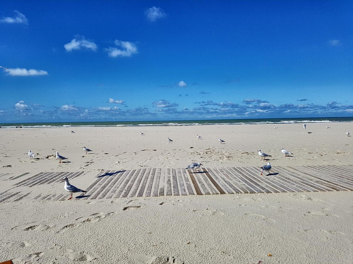 Les Coquillages, 2 Salles De Bain, Emplacement Ideal Berck ภายนอก รูปภาพ