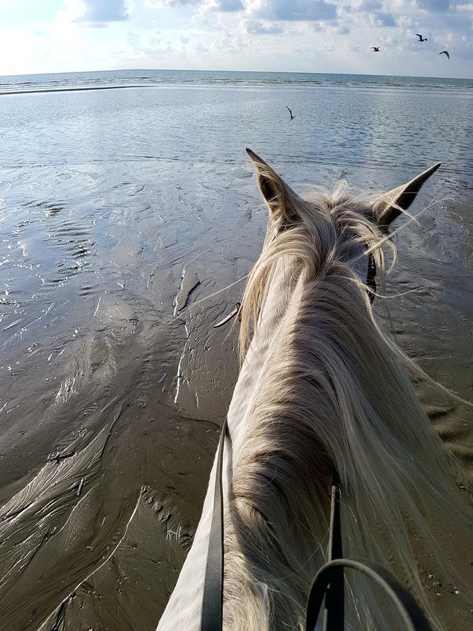 Les Coquillages, 2 Salles De Bains, Tout A Pied Berck ภายนอก รูปภาพ
